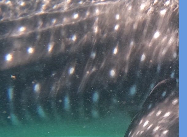 4198707c-1b29-4745-9f22-250e3e469ce2