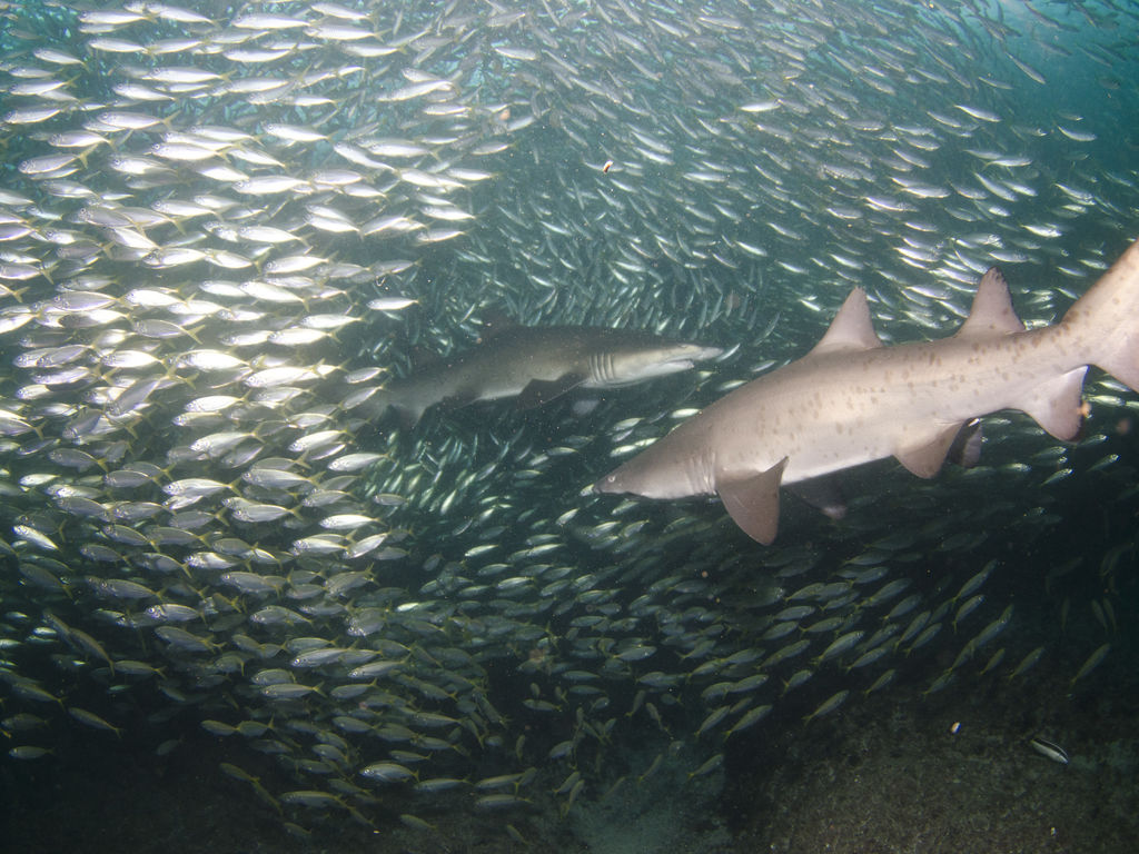 96d7f512-7941-4920-93a8-44ec41f9808d