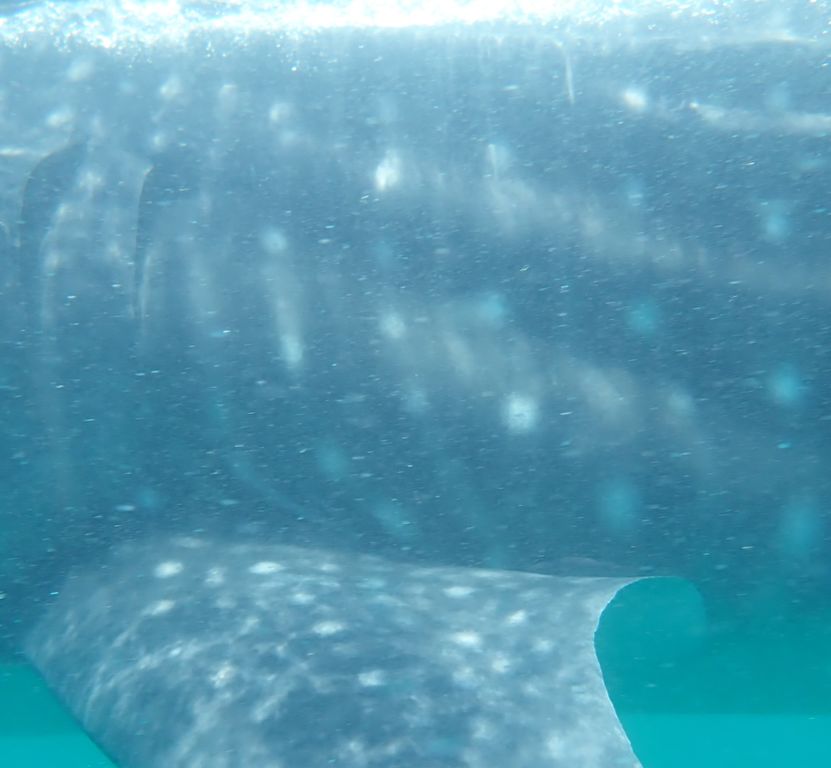 5667f829-42b1-4dd1-8efd-85d22d14f3b2