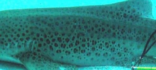 ba9528f0-bd7d-4519-ba87-0f53732b73da