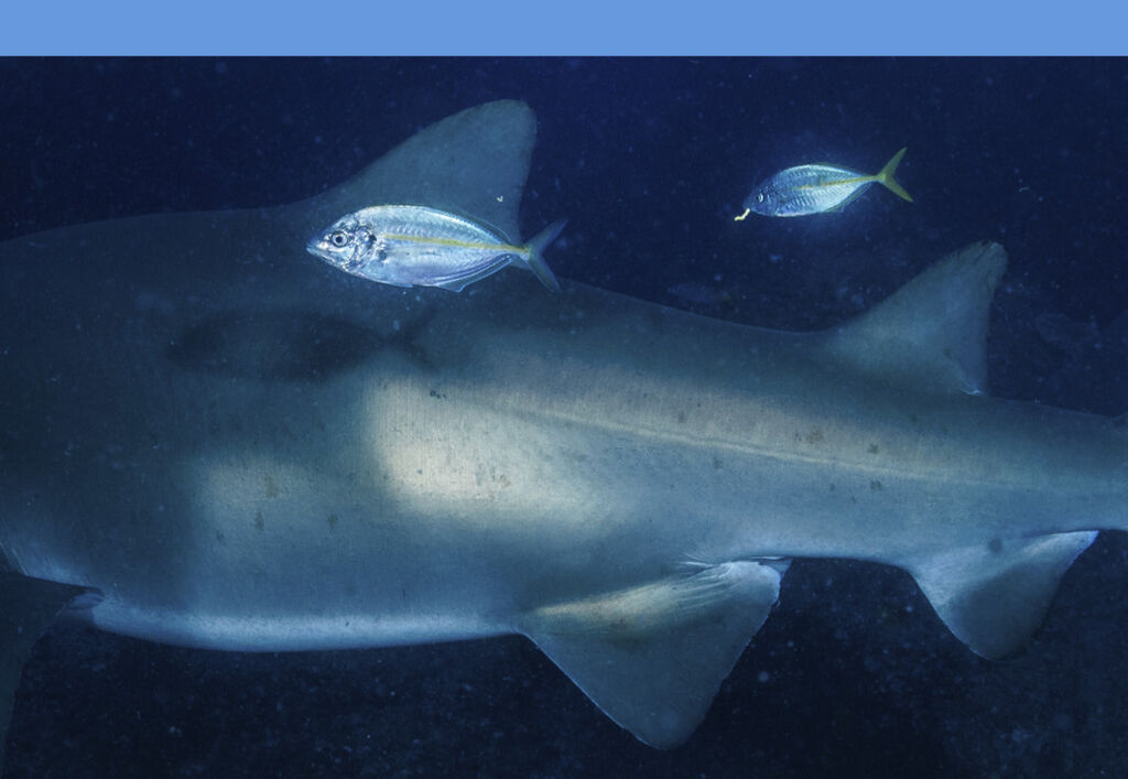 d507e349-738d-4965-8853-6170a59b2a9b