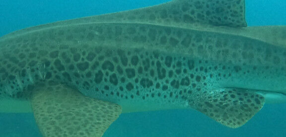 53dbf2b3-9ff8-4653-84be-51aa00bc505a