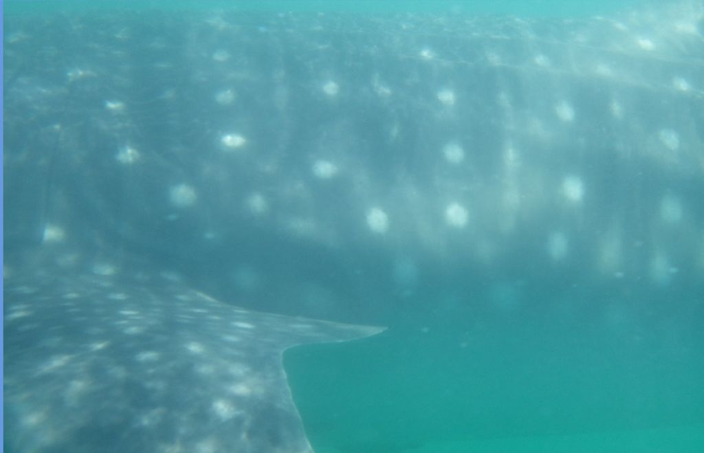 774a8aae-207f-495a-a8e9-c1f29d5a4bef