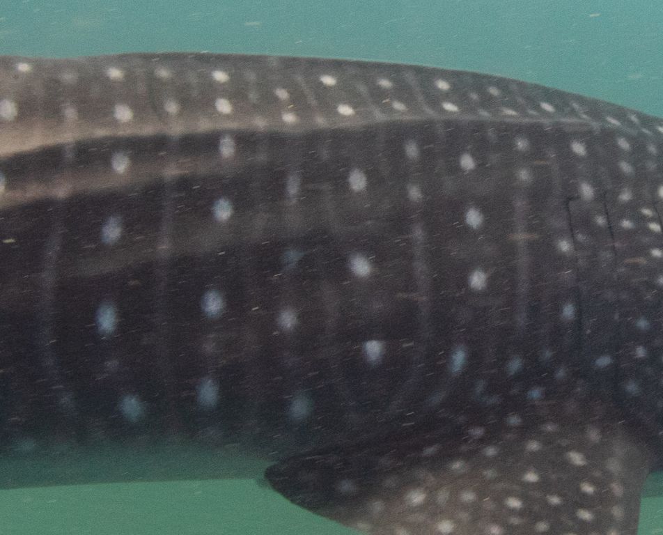 3e04c946-3ee6-4b6e-944e-86d1526c6aa1