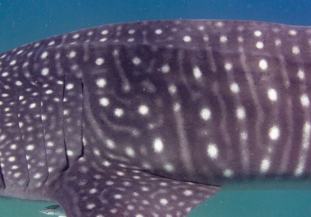 3e04c946-3ee6-4b6e-944e-86d1526c6aa1