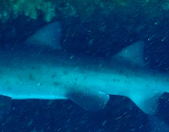 2013a88f-3541-42c9-b514-abaebba5186b