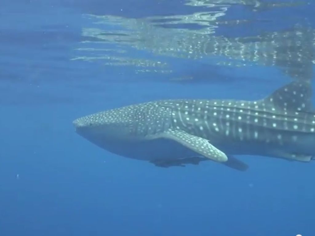 c6e85104-6d8f-4ce3-af4c-fbeeebe14664