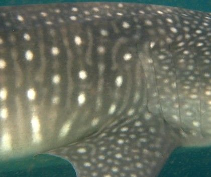 14c076d2-0319-4d73-87af-a7815b57d104