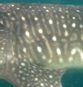 14c076d2-0319-4d73-87af-a7815b57d104