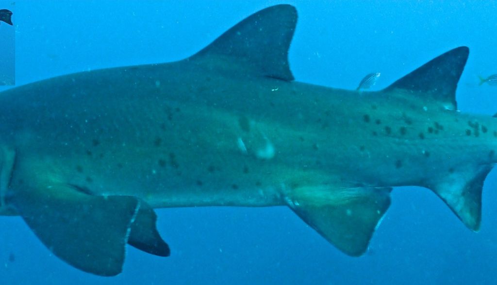 369e9c7e-d36d-4478-ba0f-6fb511b21aaa