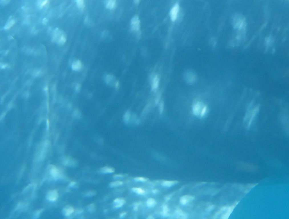 c628e463-9d34-4074-a5ea-7eb3ee073a69