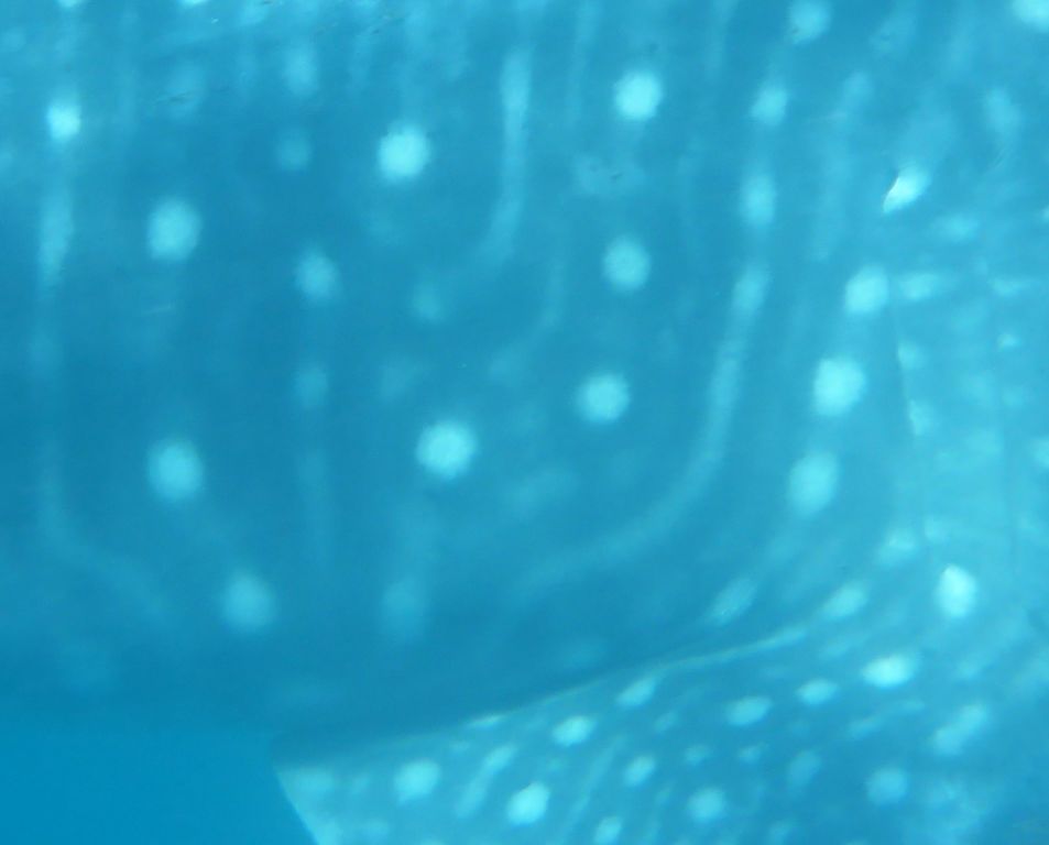 c628e463-9d34-4074-a5ea-7eb3ee073a69