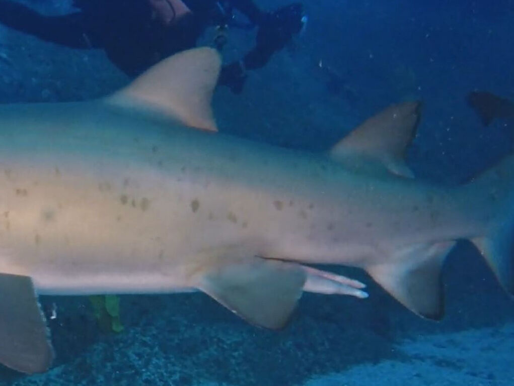 b0f108a2-2386-4542-a925-cfa74af26be7