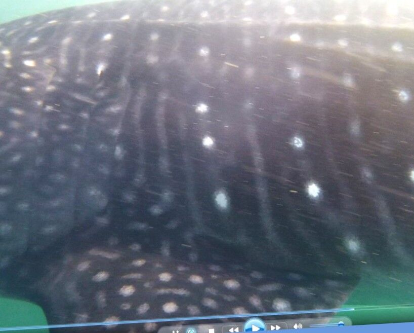 ea00539f-10b2-49df-b4d0-1198b252cb67