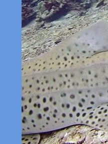 7172075a-cf42-41c5-bcdb-d5c943f6e64b