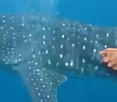 cadbad2e-9979-42b5-97b8-e2e2250b935b