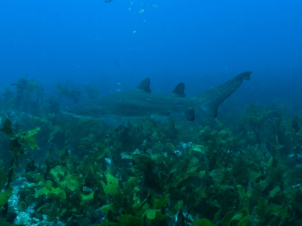 b927723a-a43d-49c9-a2b6-b63a675b6976