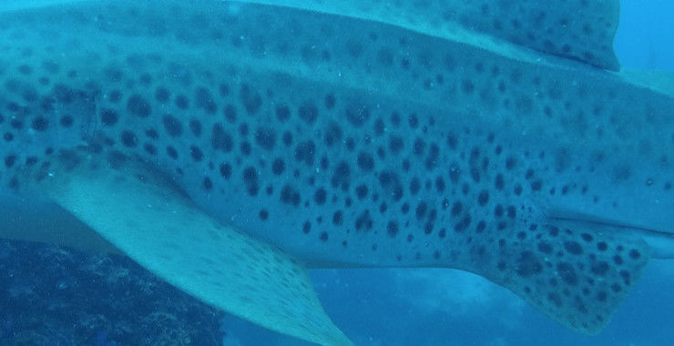 631bb9ca-fb56-458c-aba3-a0fedc1919dc