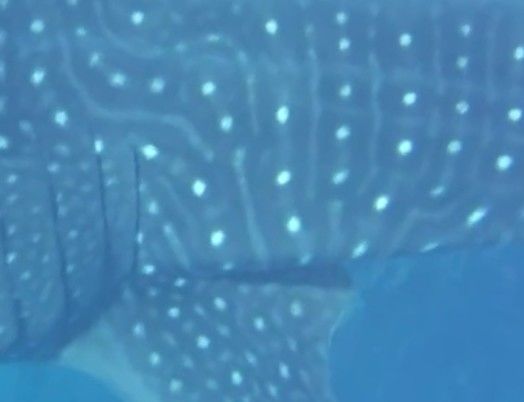 6c767d07-03af-410e-9d34-0557c918acdb