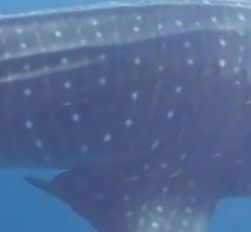 6c767d07-03af-410e-9d34-0557c918acdb