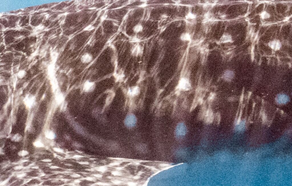 e8f9d015-8c9a-47c9-877c-e5aebd28030b