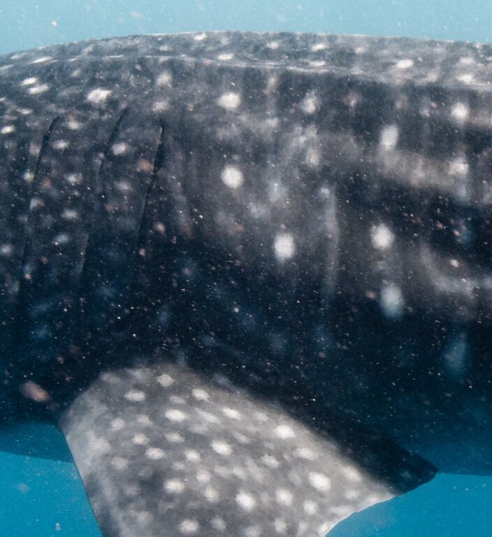 126b8d4c-4834-4c96-8d38-7a05c8152cf1