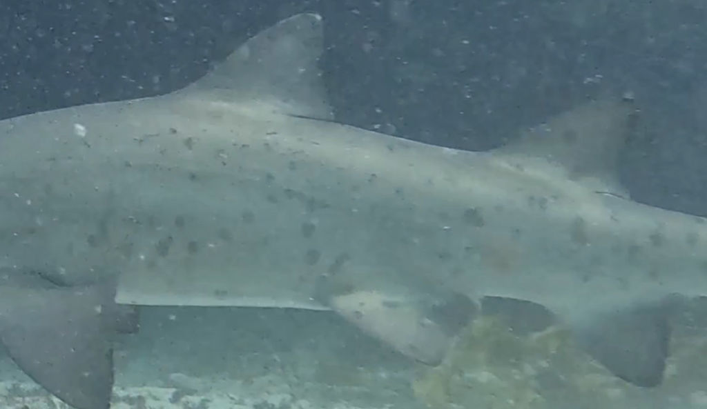 20c00121-df6b-45f5-95ad-09931d565cd6