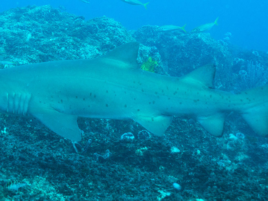 41ca4ab8-542e-448c-b390-58a43e83166c