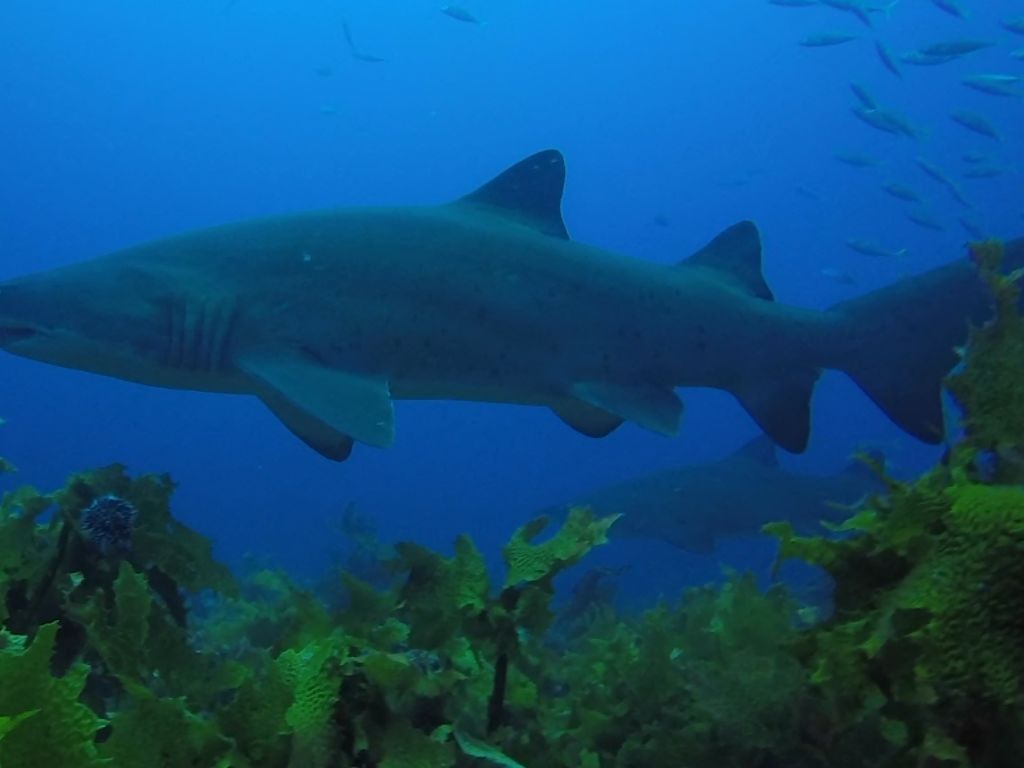 f2189993-56c1-4f57-8bbd-160928eb9928