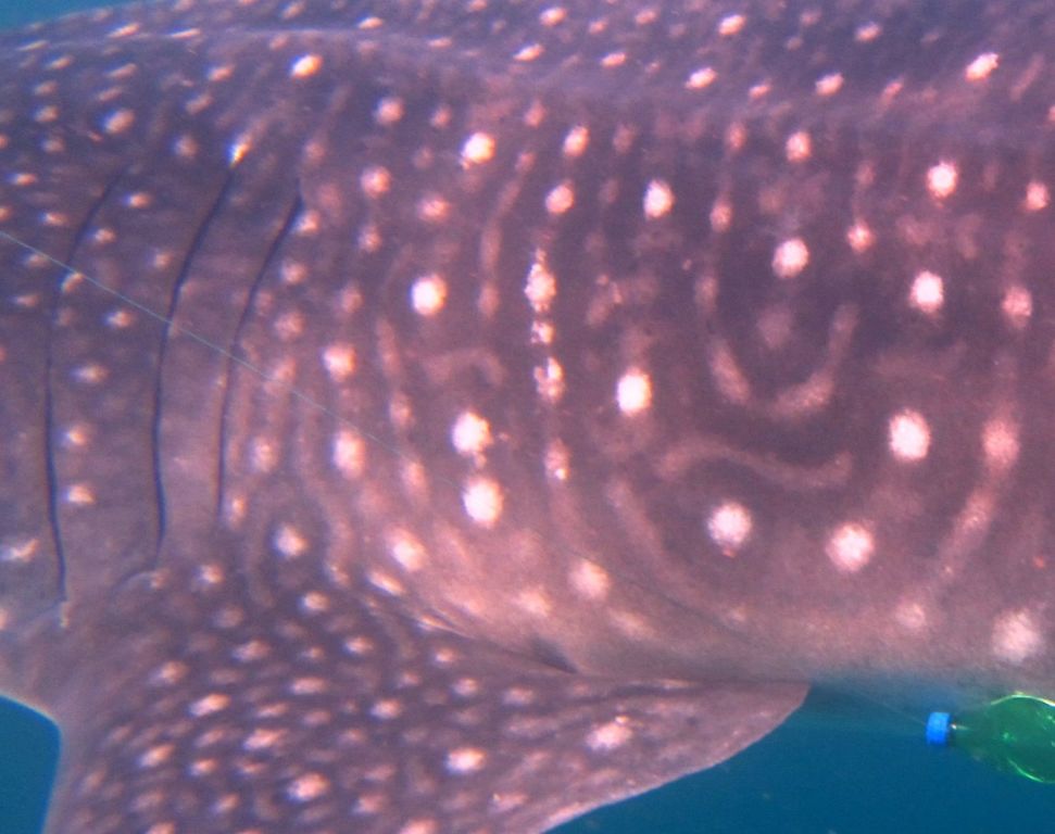 a5713e09-f747-4504-b58c-512b263e6f1f