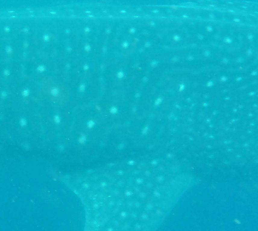 04d47922-ae75-4165-b020-2b55ef5a3581