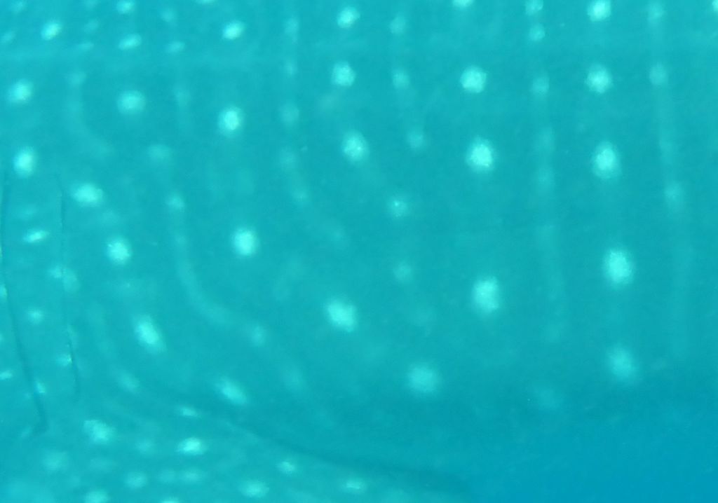 04d47922-ae75-4165-b020-2b55ef5a3581