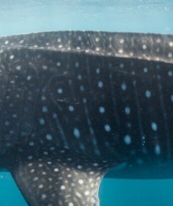 c14bc9e0-5f75-4abb-a867-e0c7b29ace8b