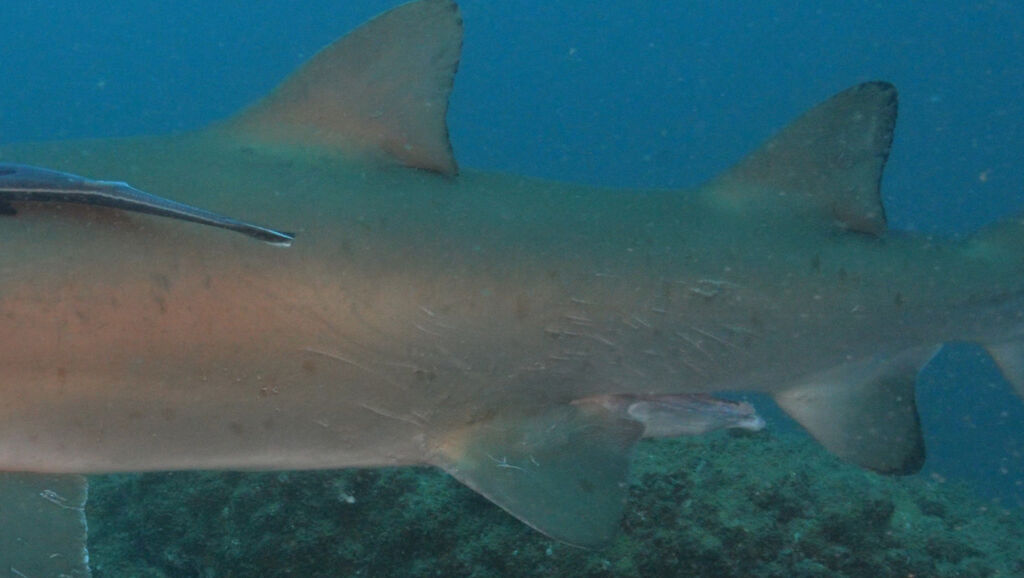 2c14094c-3ead-4f36-8fb1-7f7f5050855c