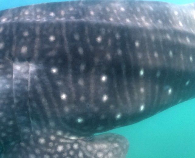 73df8336-f3b8-41e2-8041-9436f9cb783a