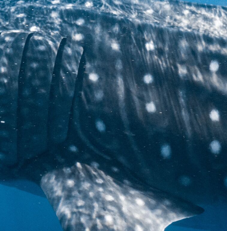 f811686f-7416-441f-874e-b85c7c7b5fc8