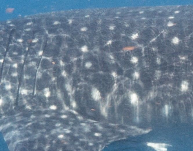 883d2cba-dcb3-4613-b59c-bd30f7916ae8