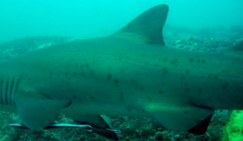 4ac5443b-6fdd-4f0d-9616-f755bc6d6744