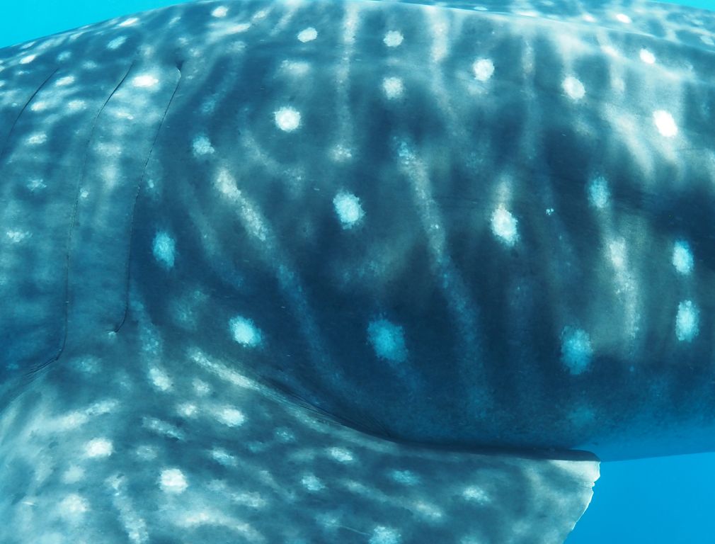 dbd0f1cd-e412-4605-9ad9-d4bcf4616e45