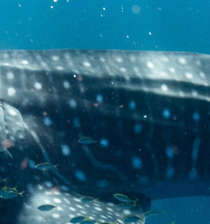 c56f3458-a51f-47ee-9a79-45f17155f4be