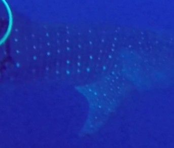 448217f8-e8dd-4056-a0b9-50879082e9b5