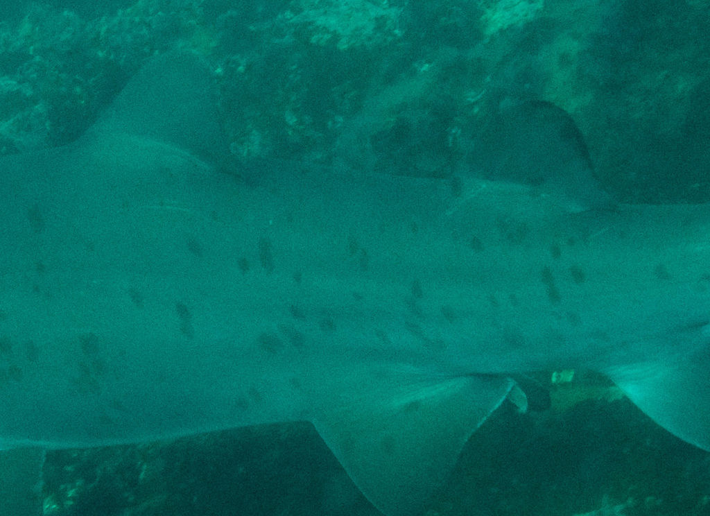 16ef553c-12af-4626-b17a-88d26d8ad85e