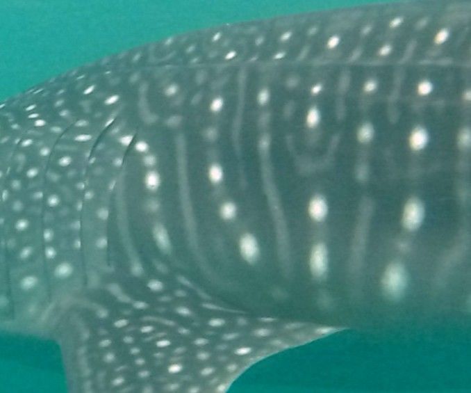 dbfc0907-1be3-4aeb-851b-49c5688b9e5a