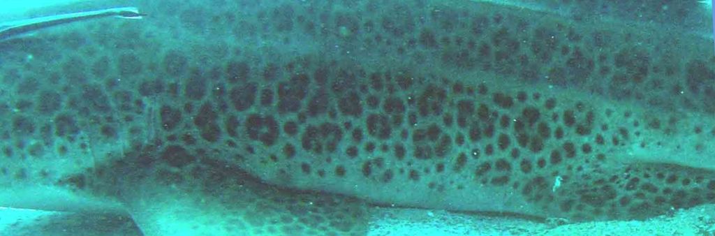 2b7e6bd0-55ec-4503-8702-f4c45597de4f