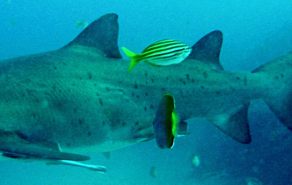 efbe63b0-2bad-4762-be81-f62e176f1eb4