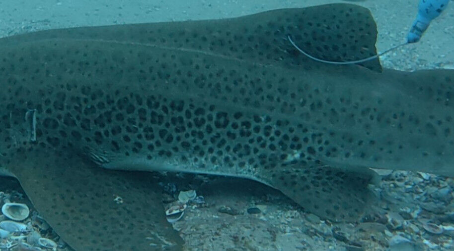 459c9ed8-e2dd-457e-ba8c-2ad09f48ad1d