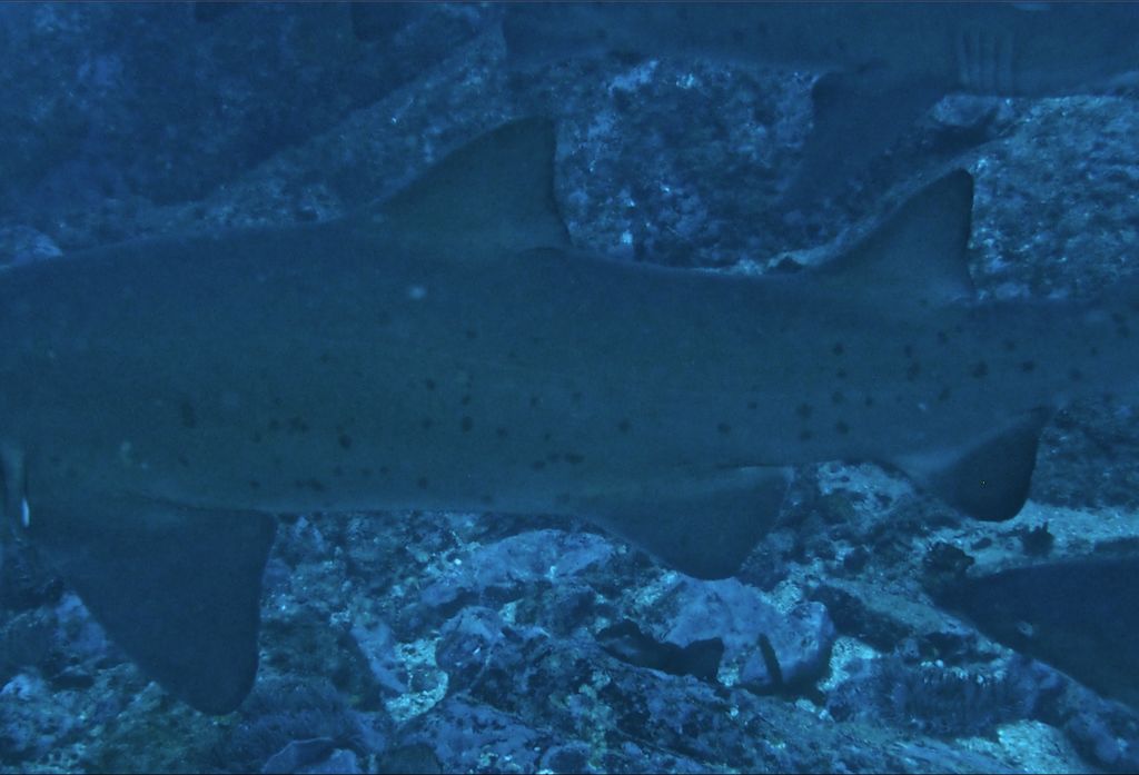 1ee40510-9206-4d40-a7d9-00dc4c852684