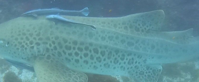 1812cc49-c89c-4d2a-a262-8b94ebd90ab4