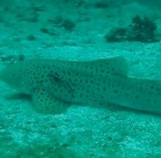 18935a8e-9441-4aa9-a14e-920e05b86764