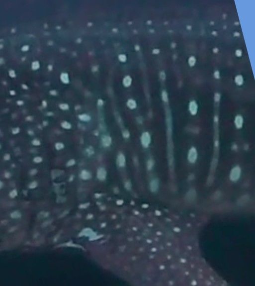 8f2c6b15-2d5a-4091-a022-75bb6b6f8200